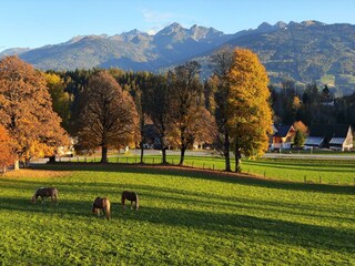 Ansicht von Norden