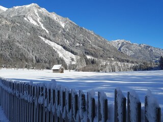 Schnee Wiesen