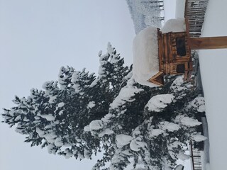 IMG-20241208-WA0002