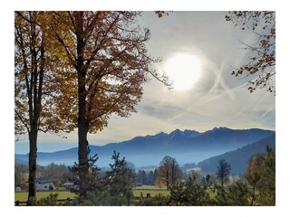 Herbst