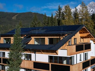 waldrand_-photography_2023-14