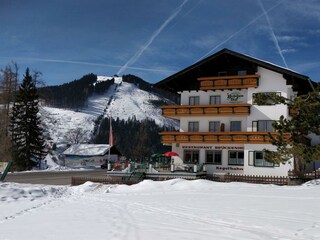 Winterbild 2 Gast