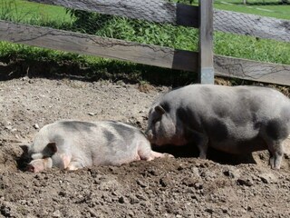 b9c3b463-b1f8-4839-ab2e-107e621f494e