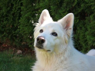 Das war unsere Makala