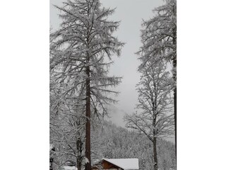 Winter 2024-25