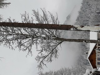 Winter 2024-25