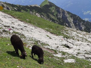 Wander Region Ramsau