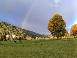 Herbst Regenbogen