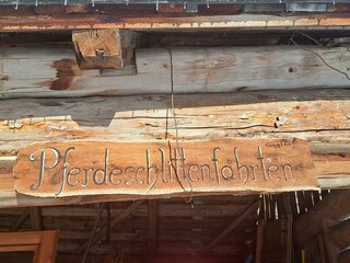 Pferdeschlittenfahrt