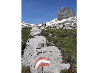 Wander Paradies Ramsau