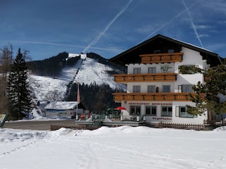 Winterbild 2 Gast