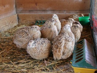 4730ee0e-bf47-4cbf-9ec5-c6171e70dc2f