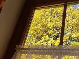 Blick aus dem Wohnzimmerfenster