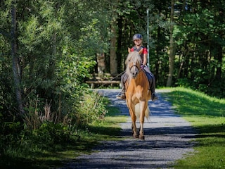 Reiten im Brandnertal (c) Roman Nöstler - Alpenreg