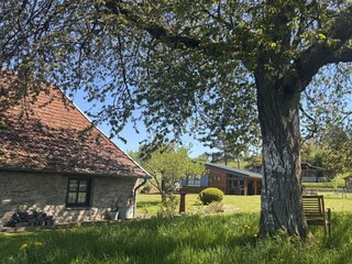 Das Chalet im Grünen