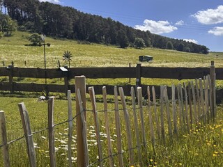 Frühsommer - Panorama
