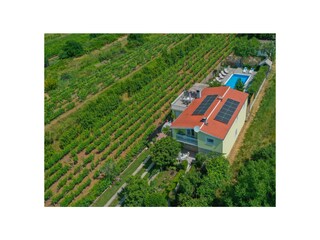 Villa Grubine Registrazione all'aperto 7