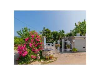 Villa Grubine  50