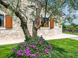 Villa Filipana Ambiente 30