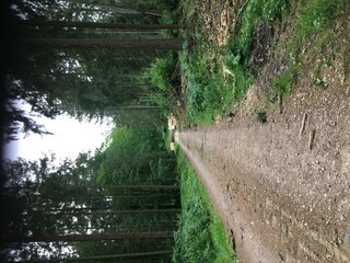 Wandern rund um den Hof Grindelborn