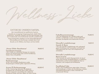 DaySpa Flyer S 2 Erstversion