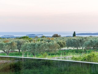 Villa Vodnjan Omgeving 40