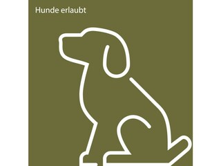 APP_Ikons_Quadrat_Hund