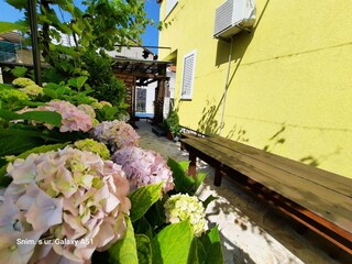 Apartment Zadar Outdoor Recording 7