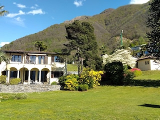 Wohnung Camelia im OG