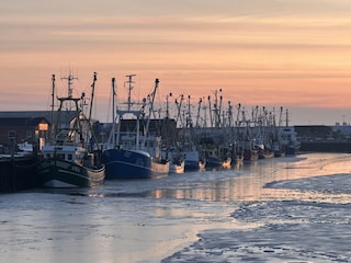 Kutter im Hafen