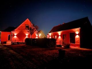 Garten bei Nacht