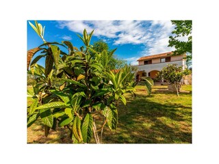 Ferienhaus Peroj Außenaufnahme 9