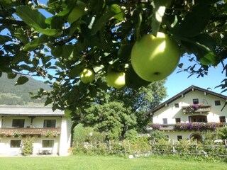IMG_20190921_110836