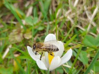 IMG_20240319_160212_739