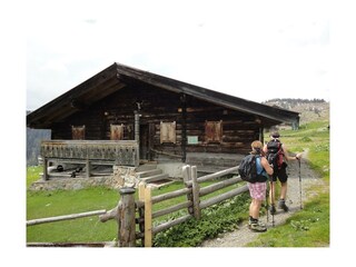 Almwanderung am Spielberg