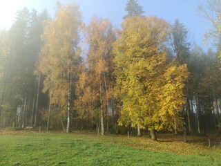 IMG_20191027_082303