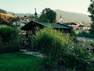 Garten im Sommer