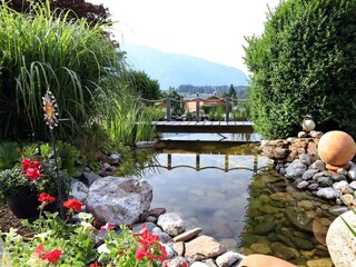 Teich