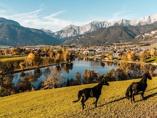 Herbst2019_Ritzensee_19_MichaelGeißler