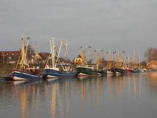 Kutter im Hafen