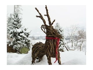 Der Platzhirsch