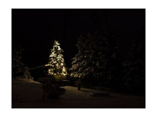 Christbaum