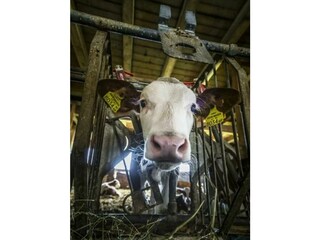 Screenshot 2022-12-16 112417