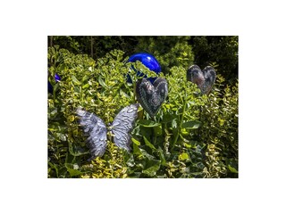82_znatur2 - Kopie