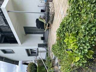 IMG_2115