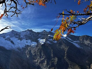 Herbststimmung