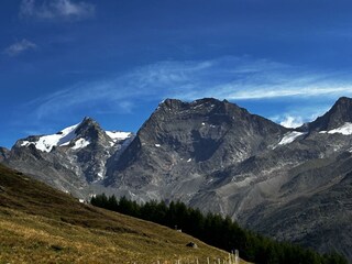 Lagginhorn