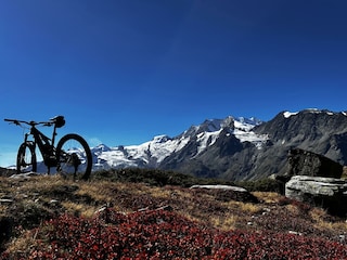 Mountainbike Leidenschaft