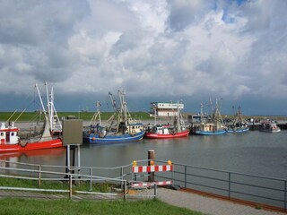 Kutter im Hafen