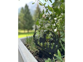 Willkommen im Lomatte 1758